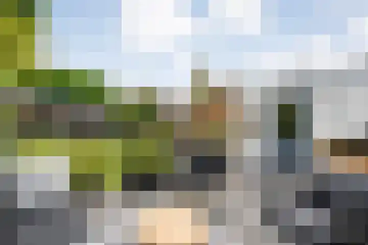 De Prunus 17 Dedemsvaart thumbnail 38