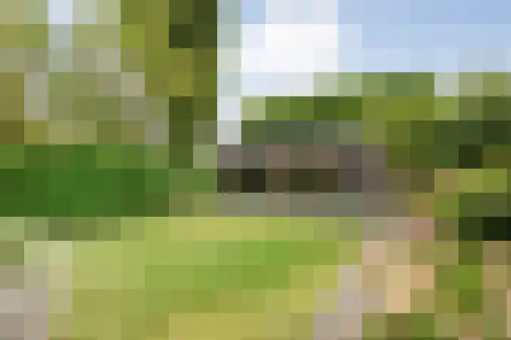 De Prunus 17 Dedemsvaart thumbnail 39