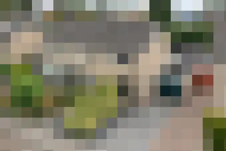 De Prunus 17 Dedemsvaart thumbnail 4