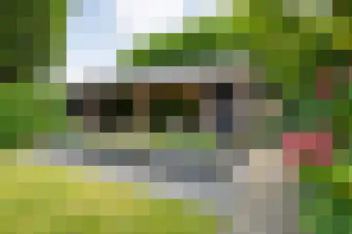 De Prunus 17 Dedemsvaart thumbnail 41