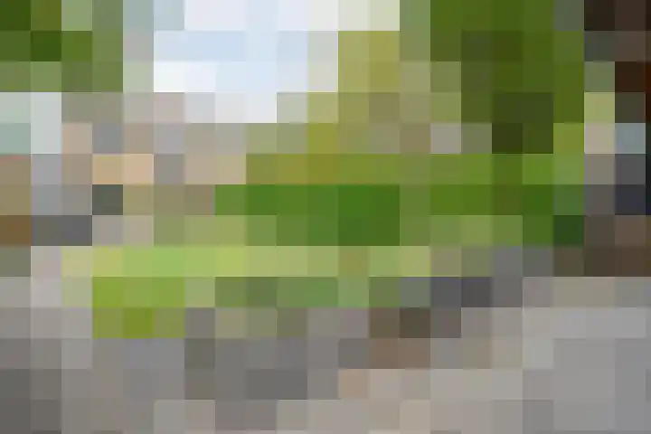 De Prunus 17 Dedemsvaart thumbnail 42