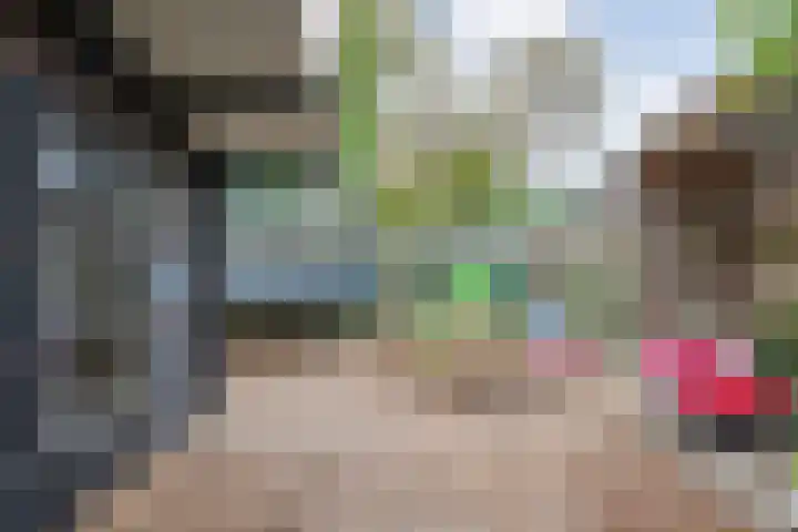 De Prunus 17 Dedemsvaart thumbnail 43
