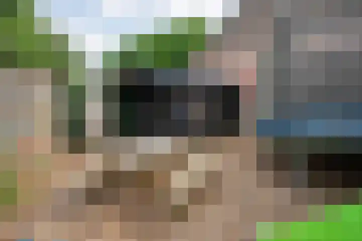 De Prunus 17 Dedemsvaart thumbnail 44