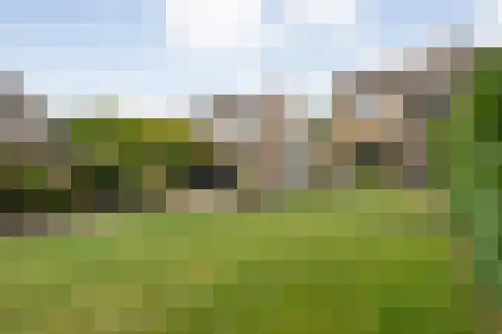De Prunus 17 Dedemsvaart thumbnail 49