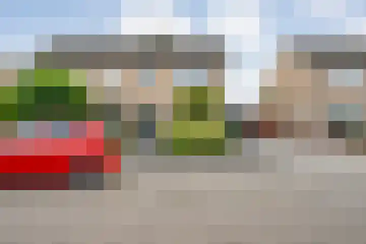 De Prunus 17 Dedemsvaart thumbnail 50