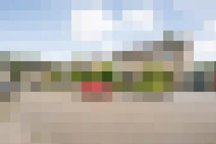 De Prunus 17 Dedemsvaart thumbnail 51