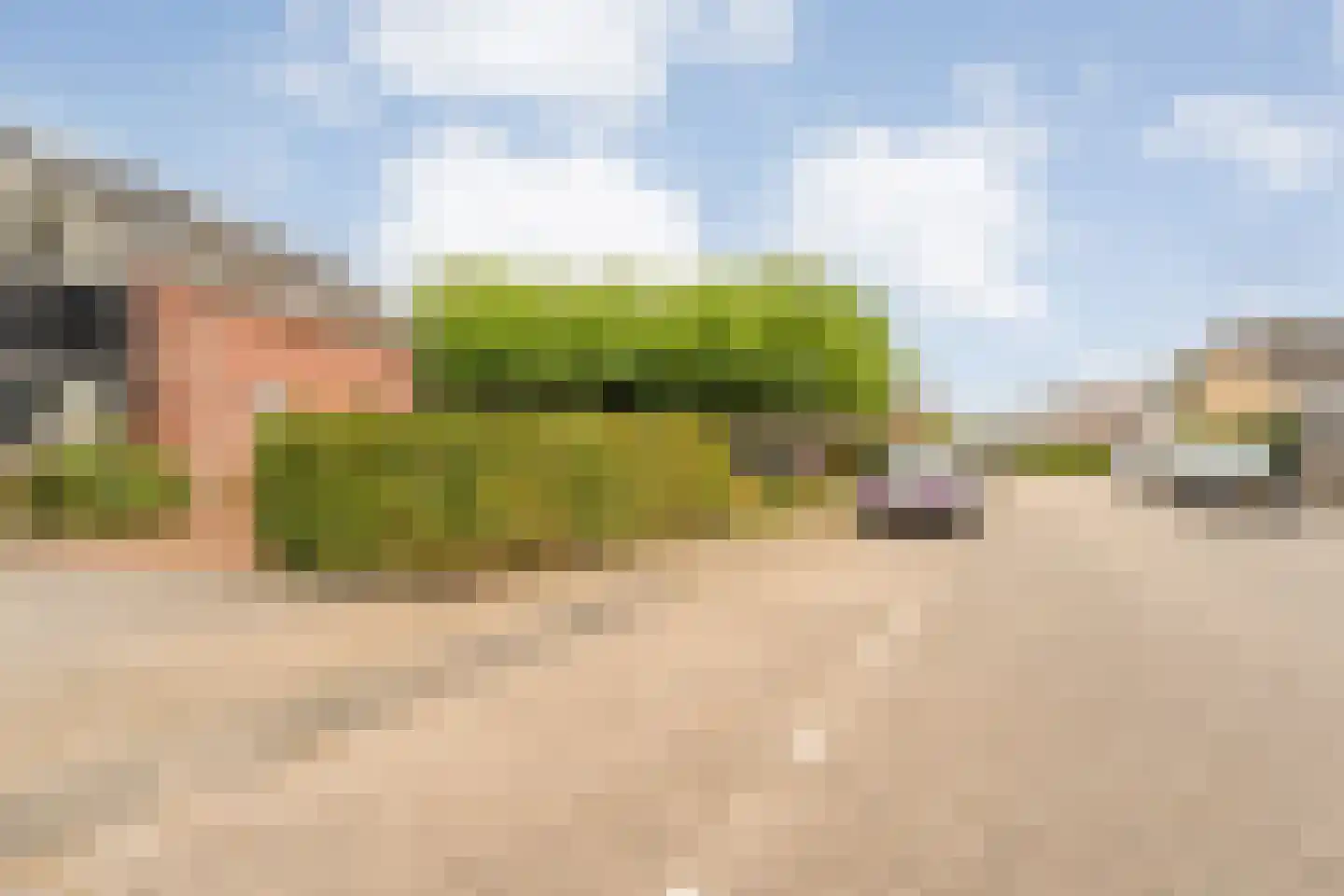 De Prunus 57 Dedemsvaart thumbnail 10