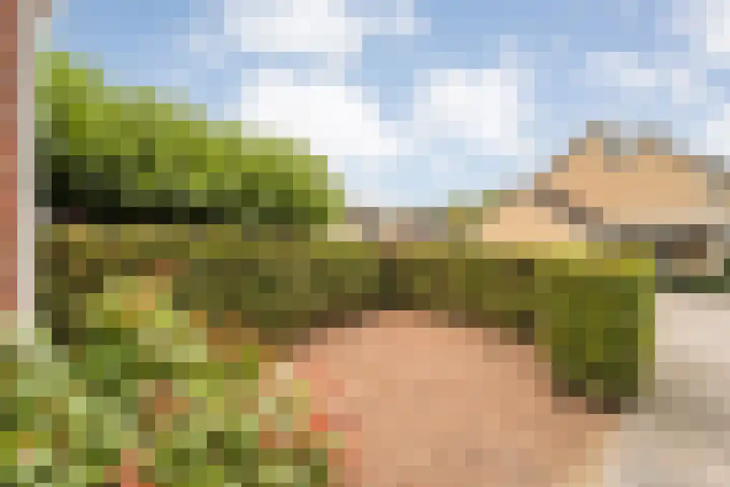 De Prunus 57 Dedemsvaart thumbnail 13