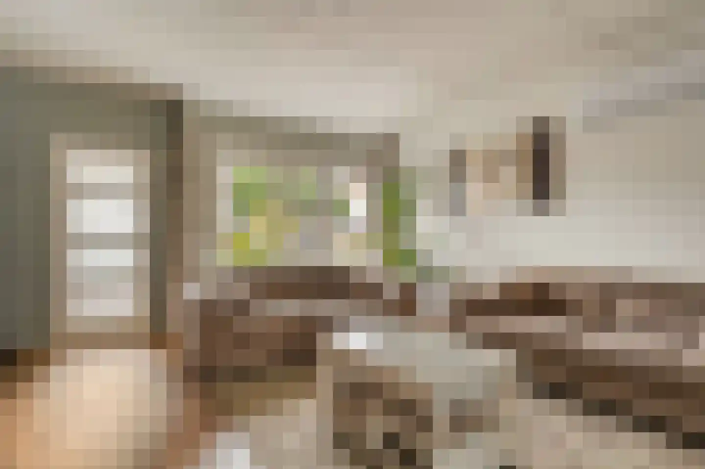 De Prunus 57 Dedemsvaart thumbnail 4