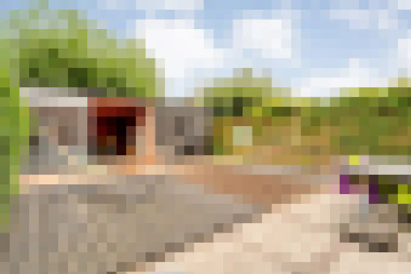 De Prunus 57 Dedemsvaart thumbnail 46