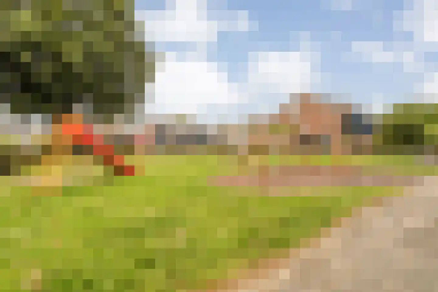 De Prunus 57 Dedemsvaart thumbnail 56