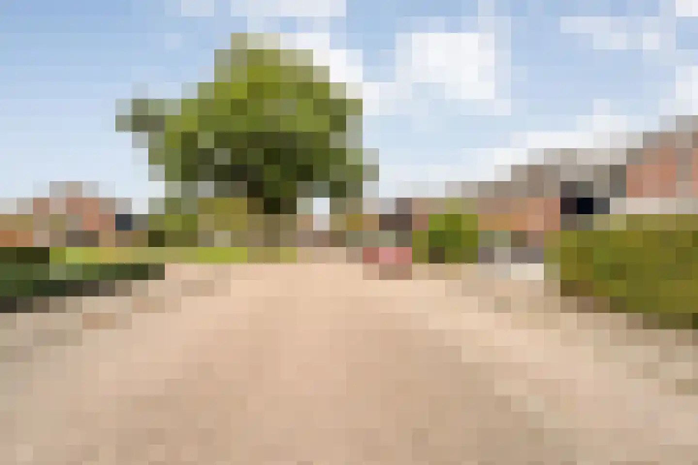 De Prunus 57 Dedemsvaart thumbnail 9