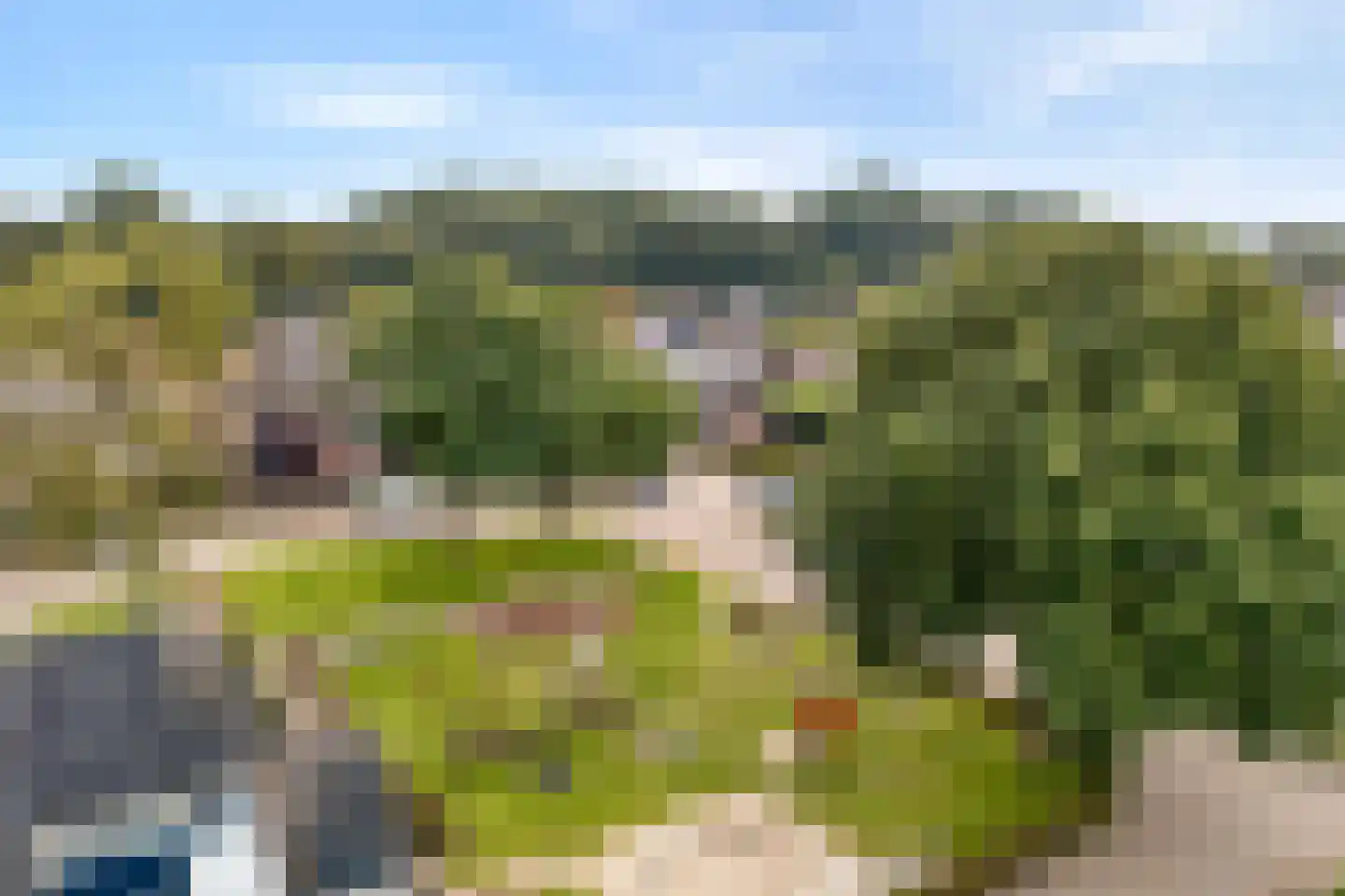 De Prunus 78 Dedemsvaart thumbnail 10
