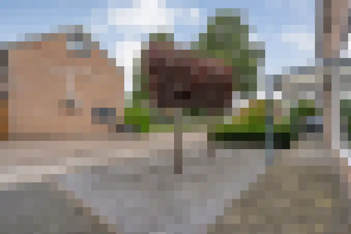 De Prunus 78 Dedemsvaart thumbnail 16