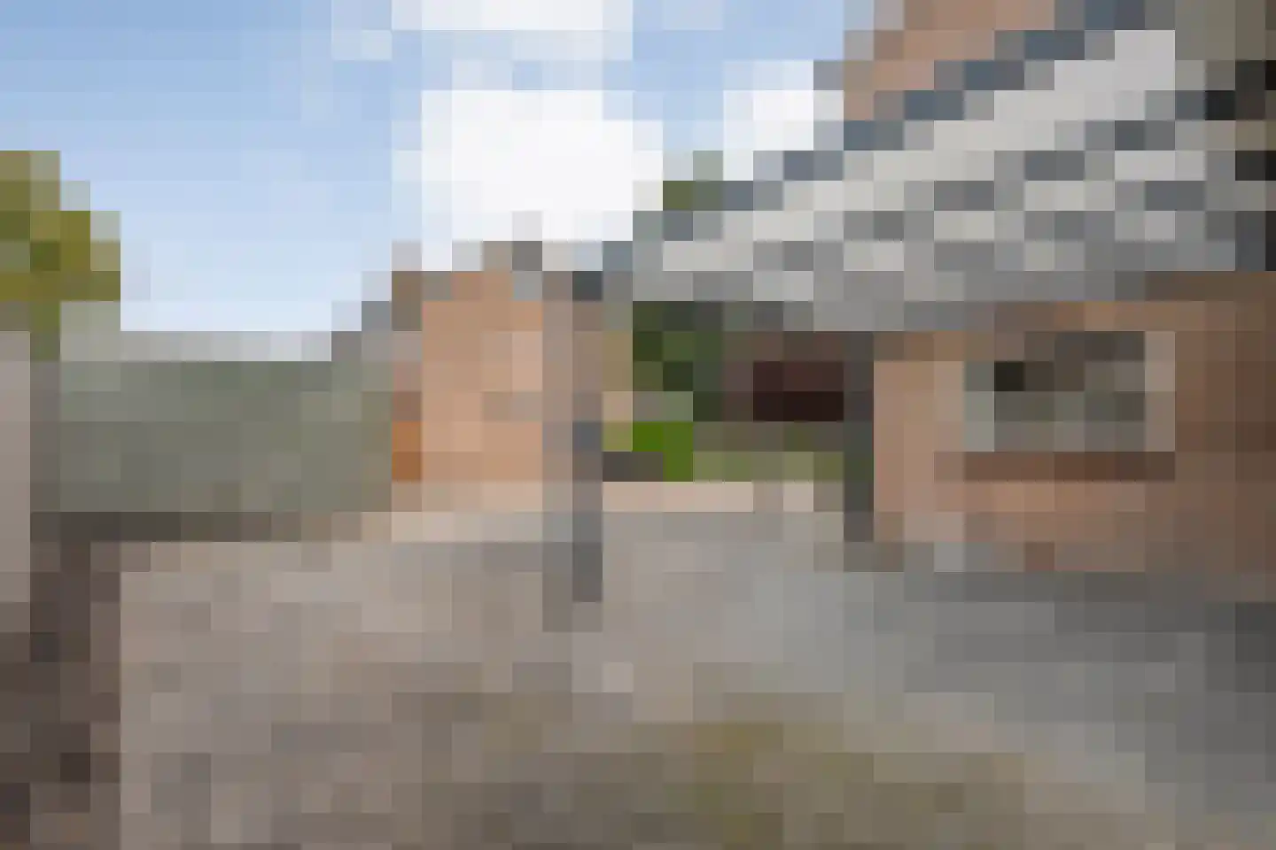 De Prunus 78 Dedemsvaart thumbnail 17