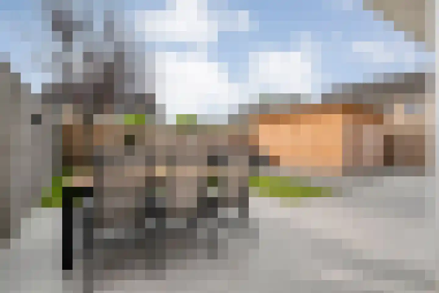De Prunus 78 Dedemsvaart thumbnail 49