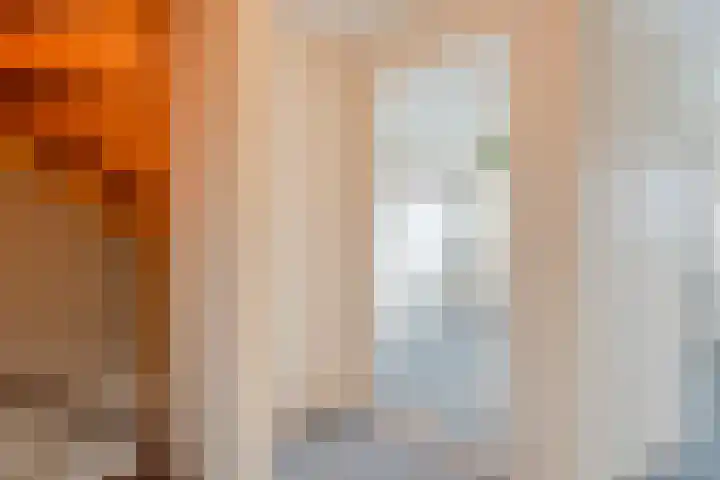 De Prunus 87 Dedemsvaart thumbnail 15