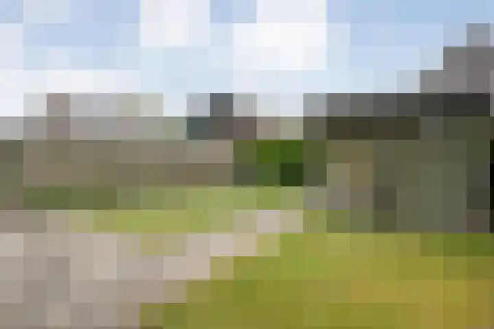 De Prunus 87 Dedemsvaart thumbnail 29