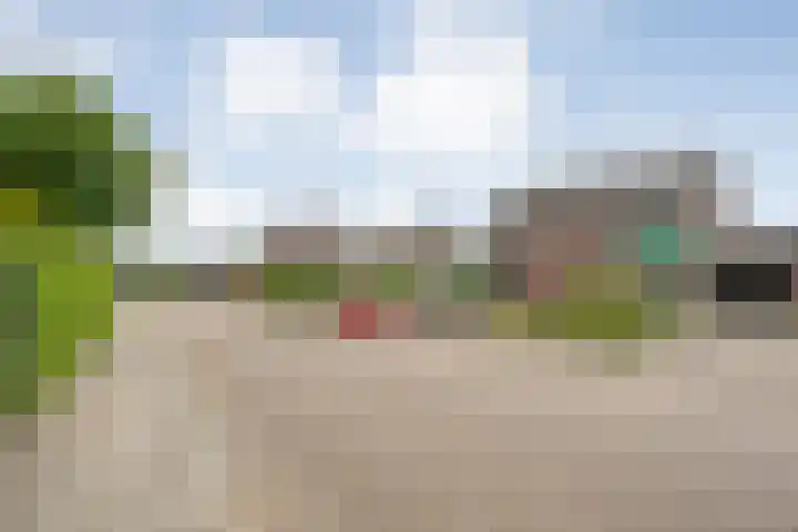 De Prunus 87 Dedemsvaart thumbnail 37