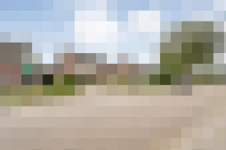 De Prunus 87 Dedemsvaart thumbnail 38