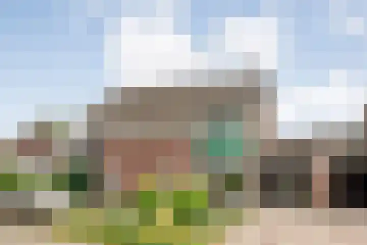 De Prunus 87 Dedemsvaart thumbnail 43