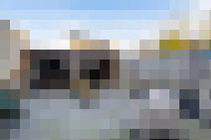 De Pulle 5 Hoogeveen thumbnail 24