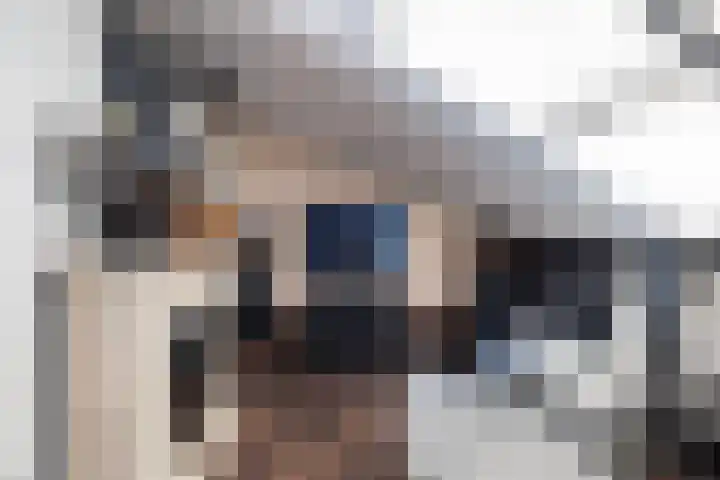 De Pulle 5 Hoogeveen thumbnail 27