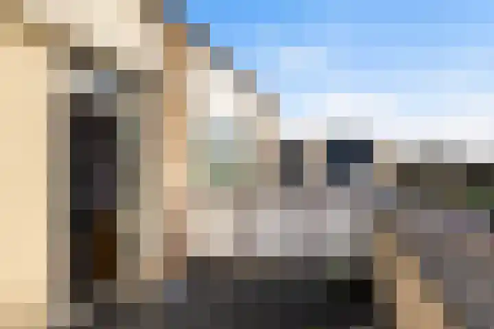 De Pulle 5 Hoogeveen thumbnail 29