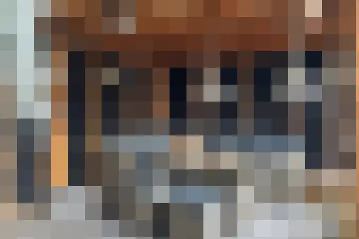 De Pulle 5 Hoogeveen thumbnail 34
