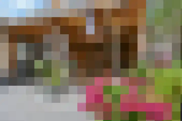 De Pulle 5 Hoogeveen thumbnail 37