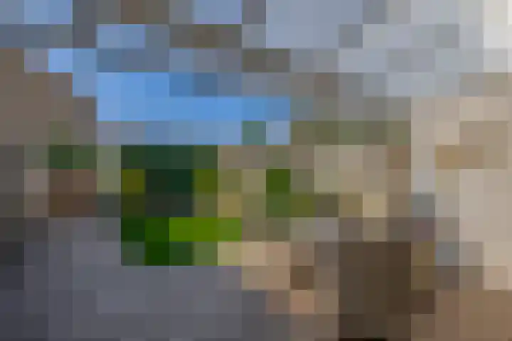 De Pulserstraat 3 Sint-Oedenrode thumbnail 4