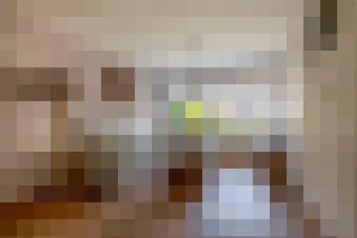 De Pulserstraat 3 Sint-Oedenrode thumbnail 6