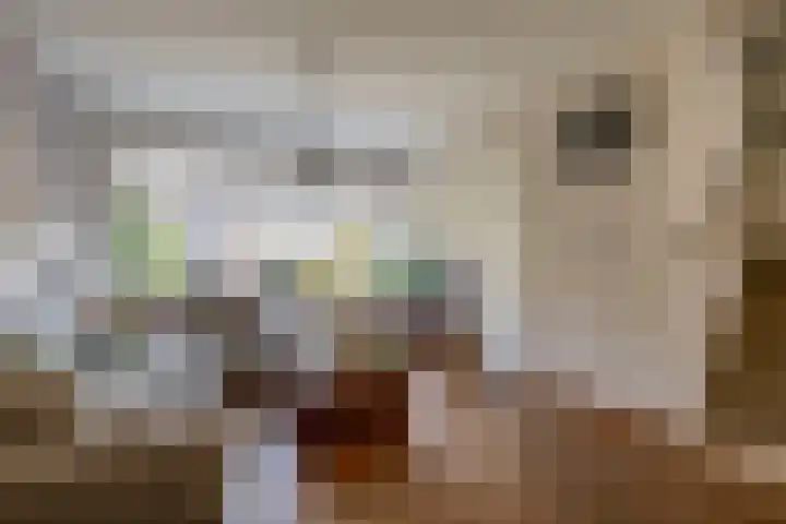 De Pulserstraat 3 Sint-Oedenrode thumbnail 7