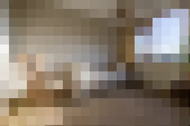 De Punt 10 Leersum thumbnail 14