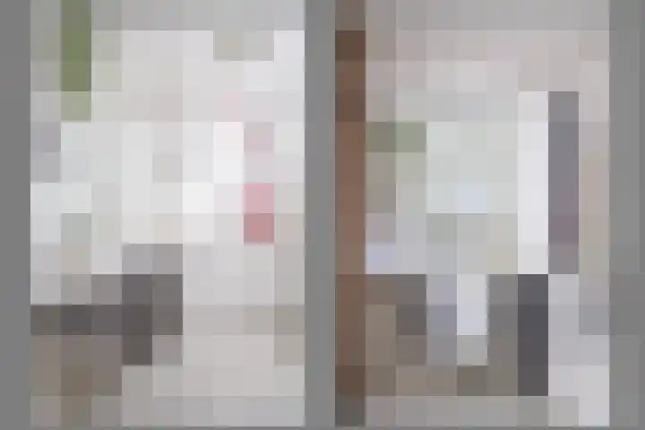 De Punt 10 Leersum thumbnail 17