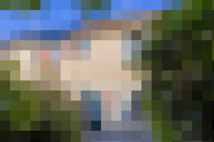 De Punt 10 Leersum thumbnail 26