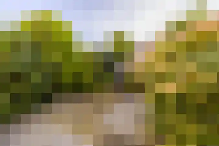 De Punt 10 Leersum thumbnail 27