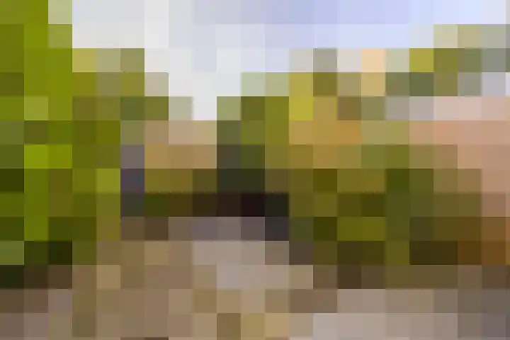 De Punt 10 Leersum thumbnail 28