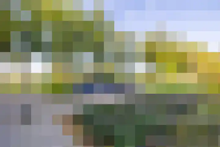 De Punt 10 Leersum thumbnail 4