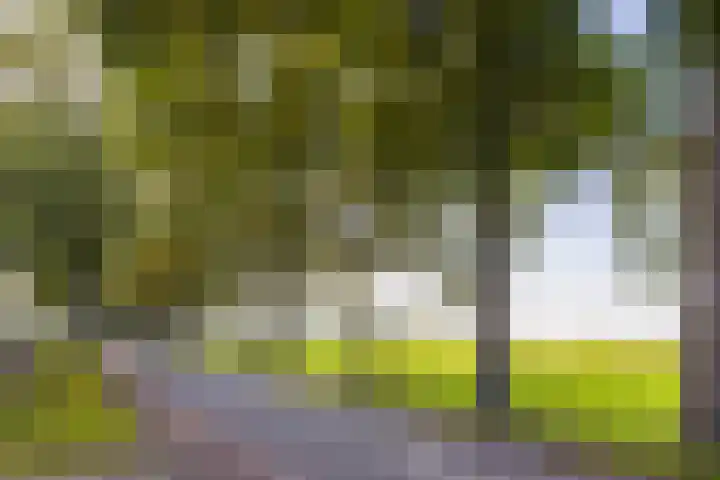 De Punt 10 Leersum thumbnail 5