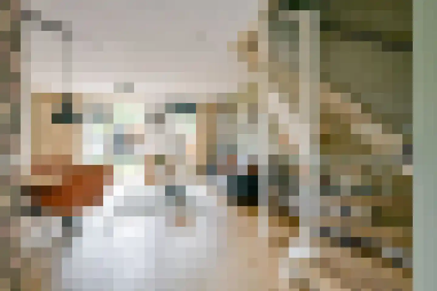 De Punt 34 Midwoud thumbnail 14