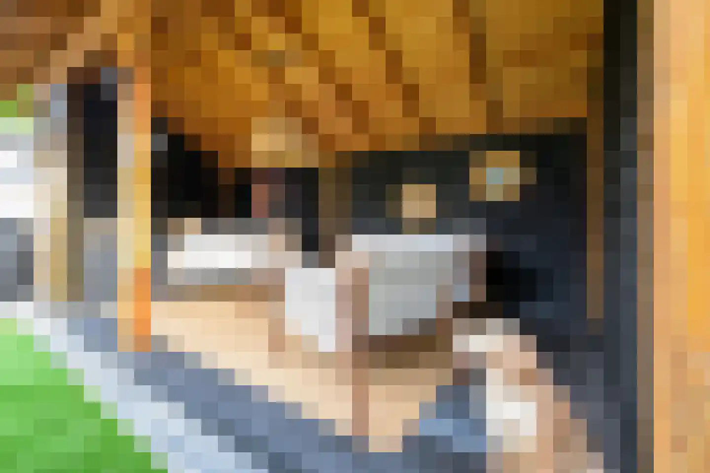 De Punt 34 Midwoud thumbnail 26
