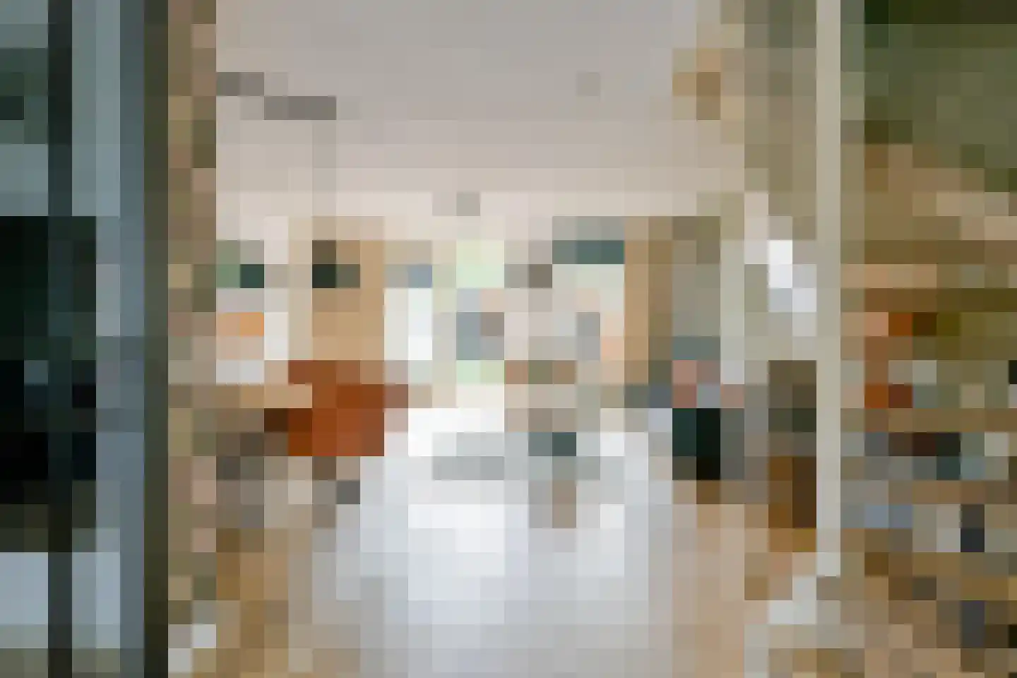 De Punt 34 Midwoud thumbnail 9