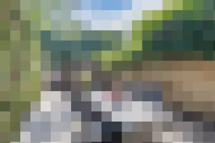 De Punter 11 Hoogeveen thumbnail 31
