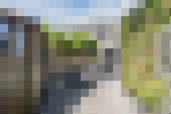 De Punter 11 Hoogeveen thumbnail 32