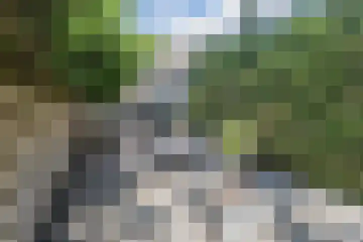 De Punter 11 Hoogeveen thumbnail 33