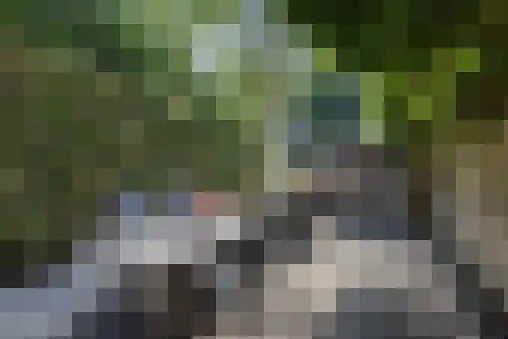 De Punter 11 Hoogeveen thumbnail 34