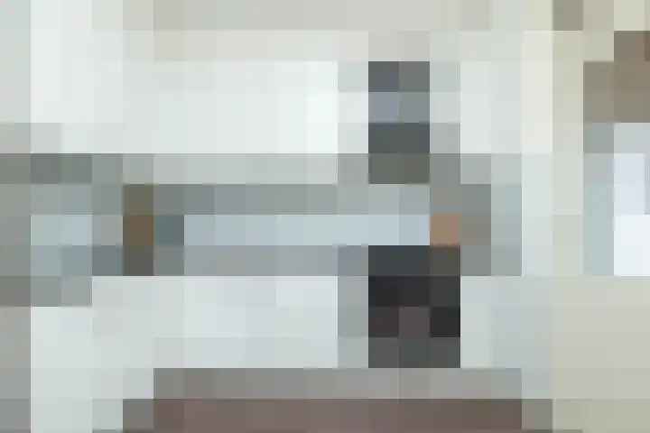 De Punter 14 Hoogeveen thumbnail 16