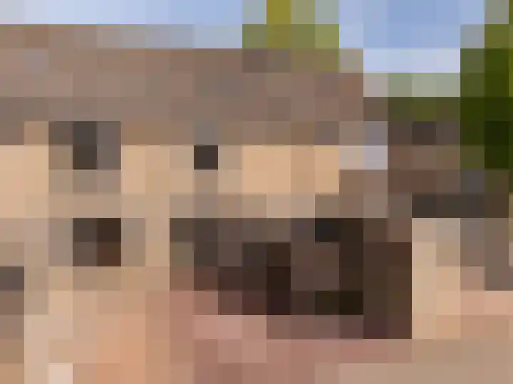 De Punter 14 Hoogeveen thumbnail 6