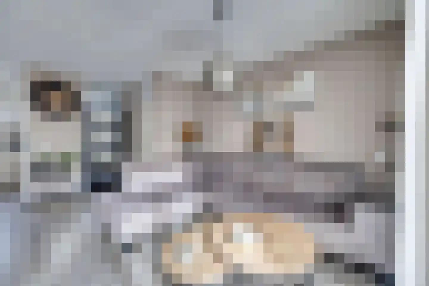 De Punter 5 Hoogeveen thumbnail 10